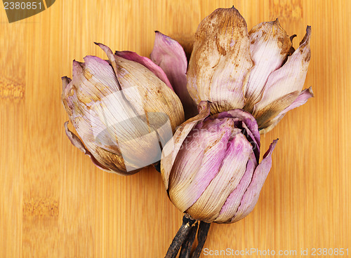 Image of Bouquet of dry lotus flower