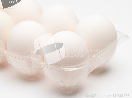 Image of White egg in transparent container