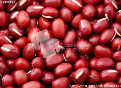 Image of Red Bean Adzuki background