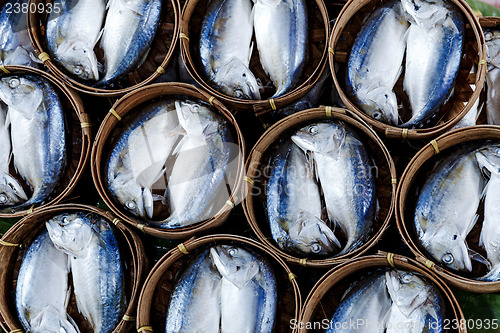 Image of  Fish in barrels for sell at market in Bangkok
