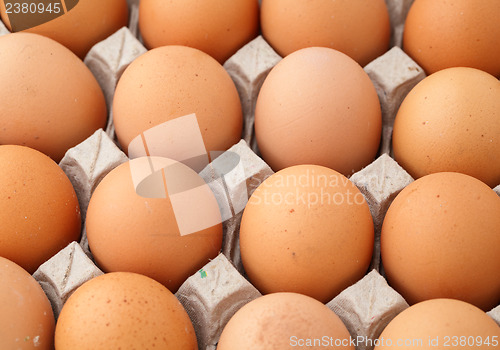 Image of Farm egg in paper container