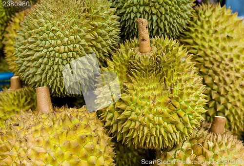 Image of Durian