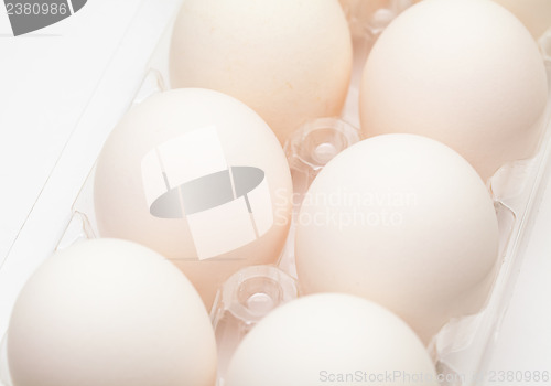 Image of White egg in transparent container