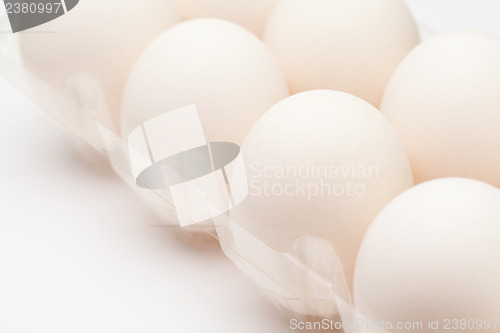 Image of White egg