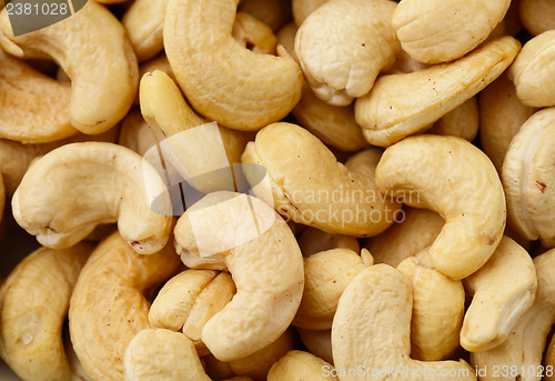 Image of Fresh Cashew nuts