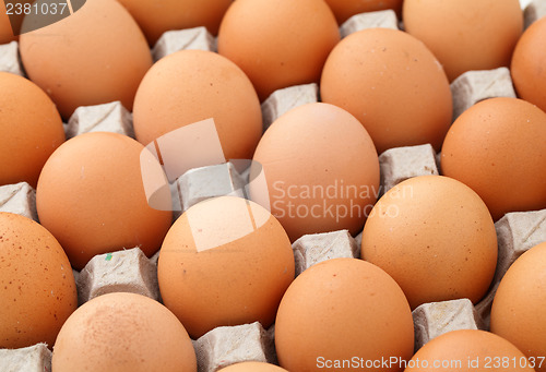 Image of Farm egg in paper container