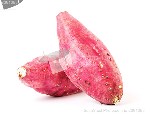 Image of Organic sweet potatoes