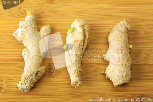 Image of Ginger on wooden table