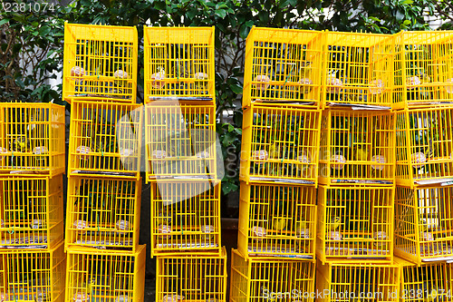 Image of Bird Market in Hong Kong