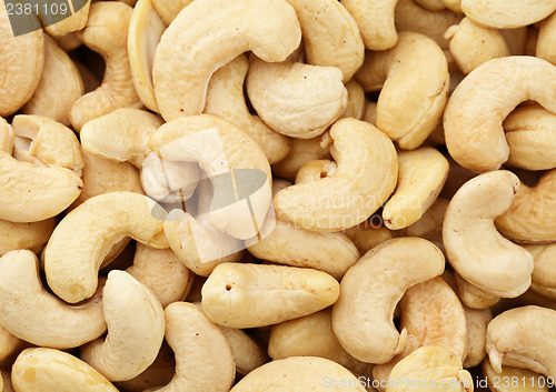 Image of Fresh cashew nuts