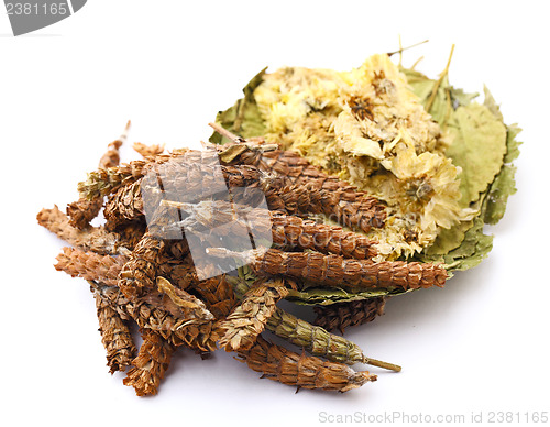 Image of Chinese herbal medicine ingredient