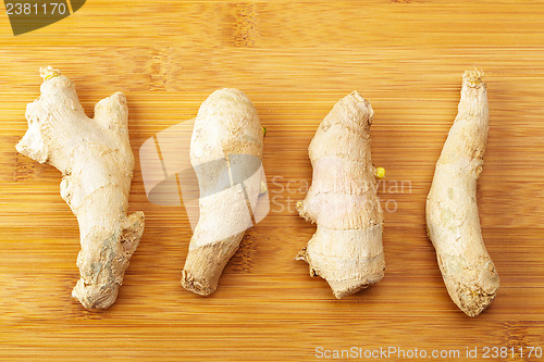 Image of Ginger on wooden table