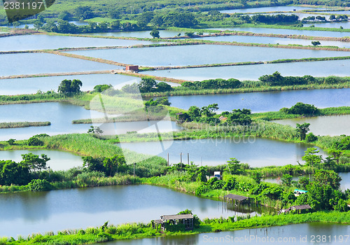 Image of Fish hatchery pond