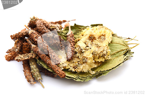 Image of Chinese herbal medicine ingredient