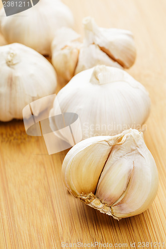 Image of Freshness Garlic