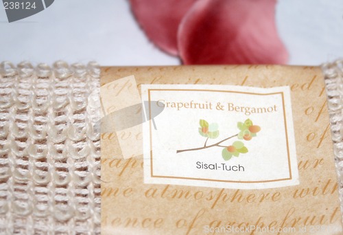 Image of Sisal-Tuch