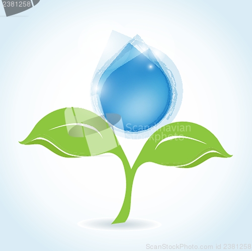 Image of Water drop vector