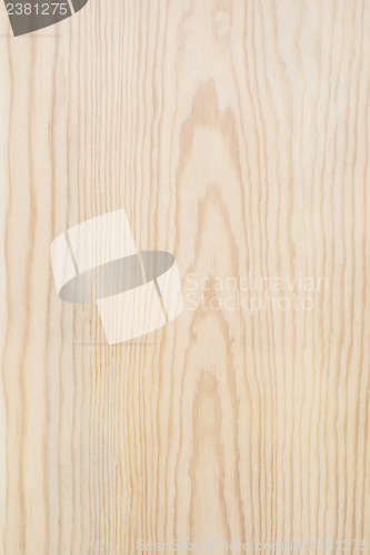 Image of Wood Texture