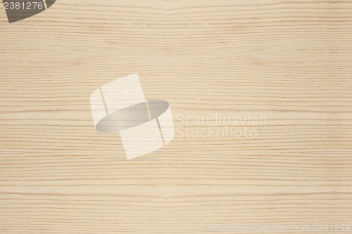 Image of Wood Texture