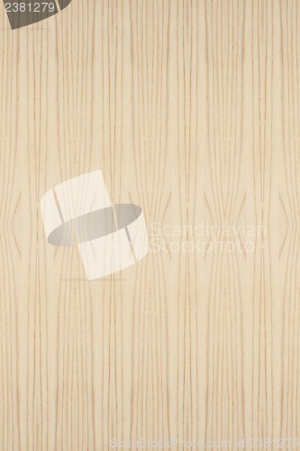 Image of Wood Texture