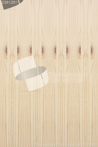 Image of Wood Texture