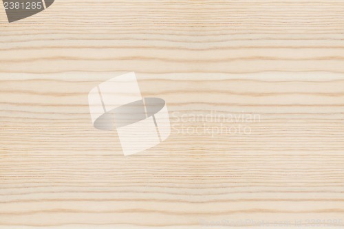 Image of Wood Texture