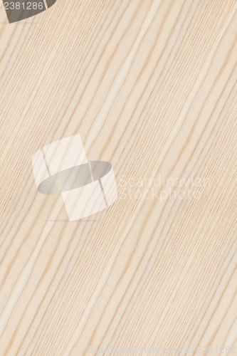 Image of Wood Texture