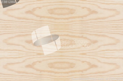 Image of Wood Texture