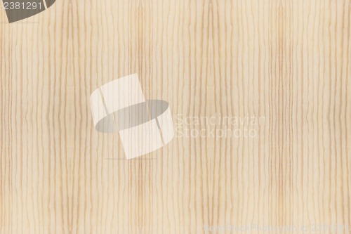 Image of Wood Texture