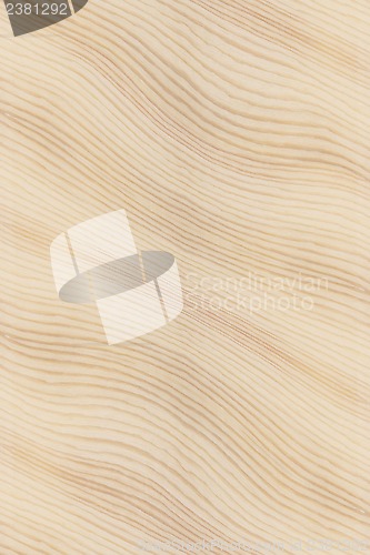 Image of Wood Texture