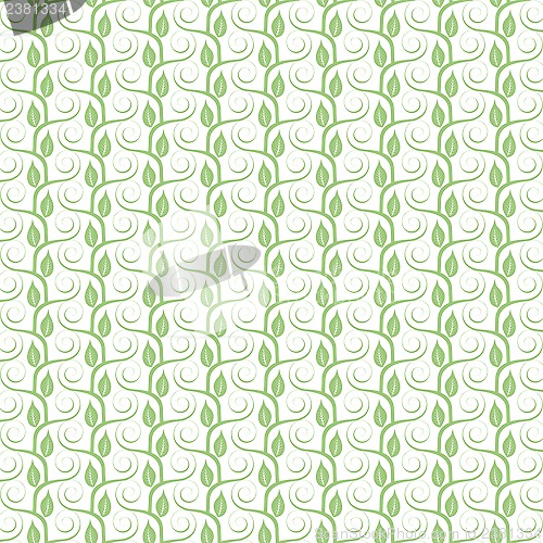Image of Seamless Floral Pattern