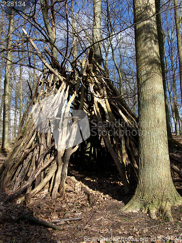 Image of Forrest Hut