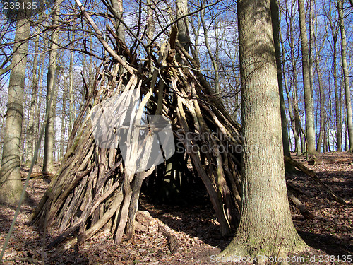 Image of Forrest Hut