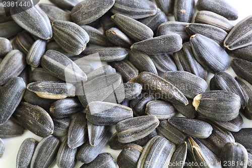 Image of sunflower seeds