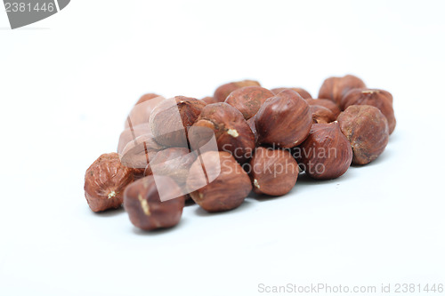 Image of hazelnut