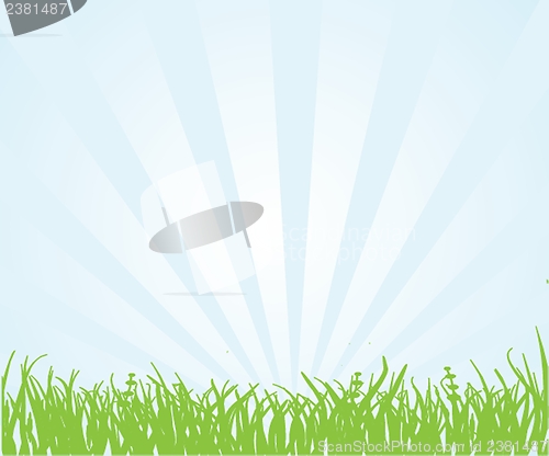 Image of green field and blue sky