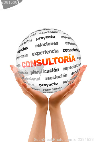 Image of Consulting Word Sphere (In Spanish)