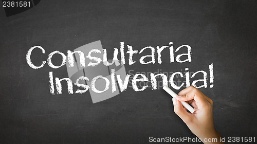 Image of Bankruptcy Consulting (In Spanish)