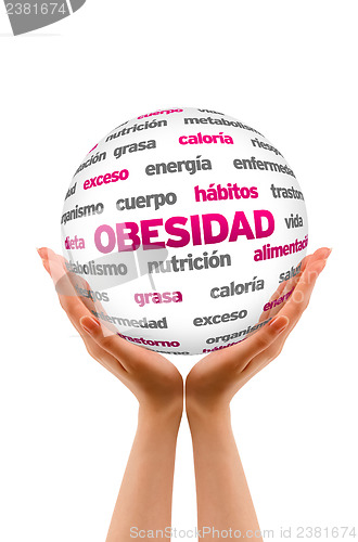 Image of Obesty Word Sphere (In Spanish)