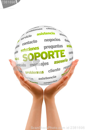 Image of Support Word Sphere (In Spanish)