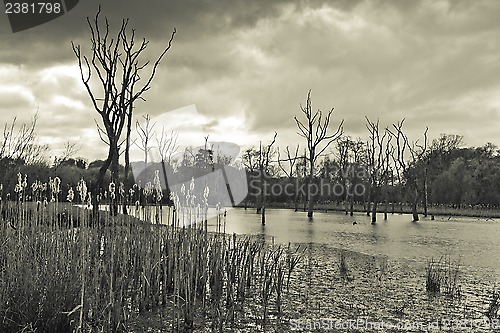 Image of Cramlington lake