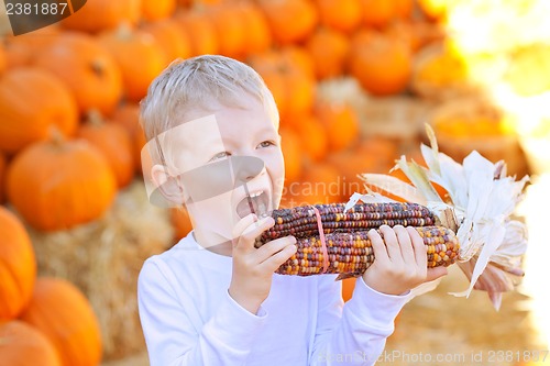 Image of boy at pumpkin patch
