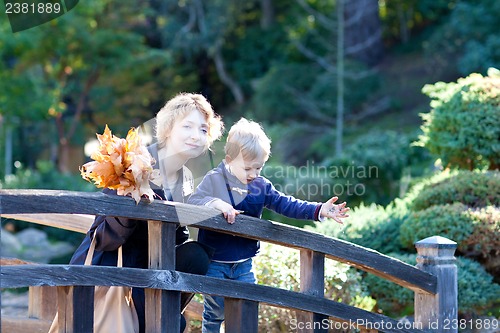 Image of family at fall