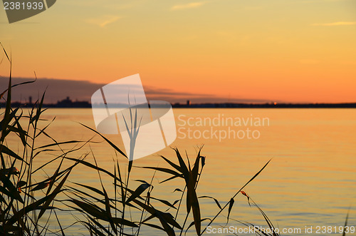 Image of Summer evening