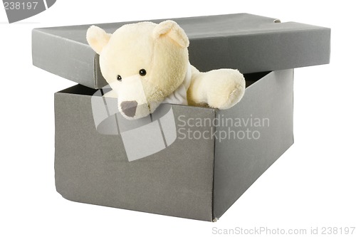 Image of Teddy bear in a shoebox

