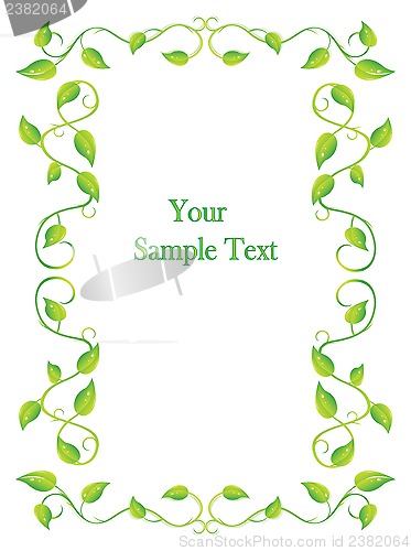 Image of ivy frame