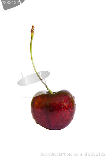 Image of Cherry