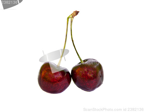 Image of Cherry