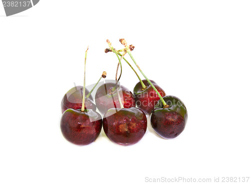 Image of Cherry