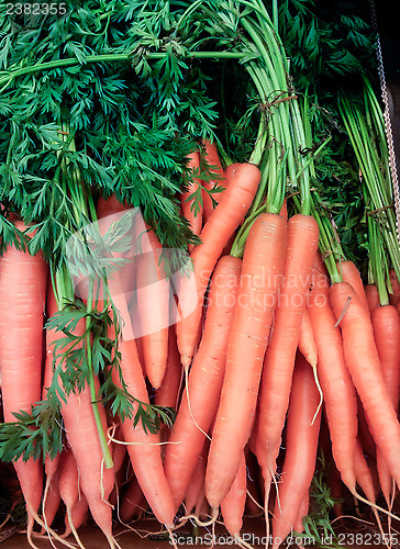 Image of Fresh carrots in a pile